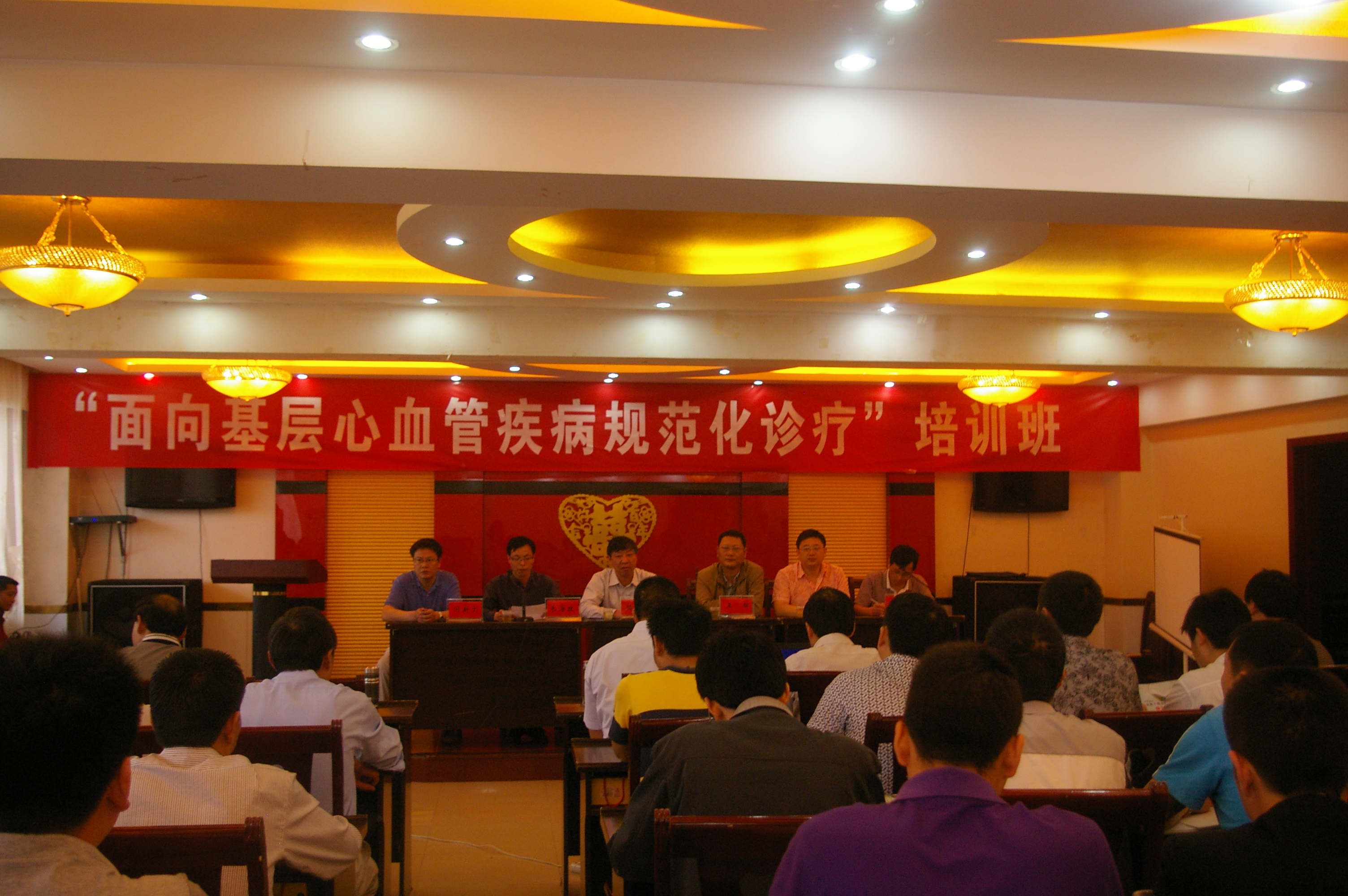 2012年5月27日,承办全县心血管疾病诊疗培训班.JPG