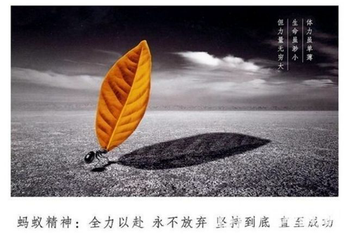 28bf1cee450f9a5e76692a29f50b386d.png