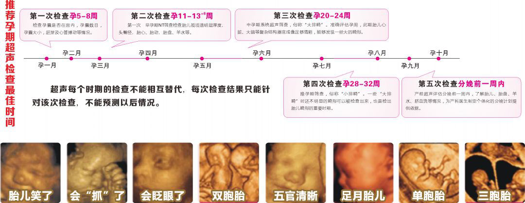 8033af1f737db5bd67124ad81f718a72.png